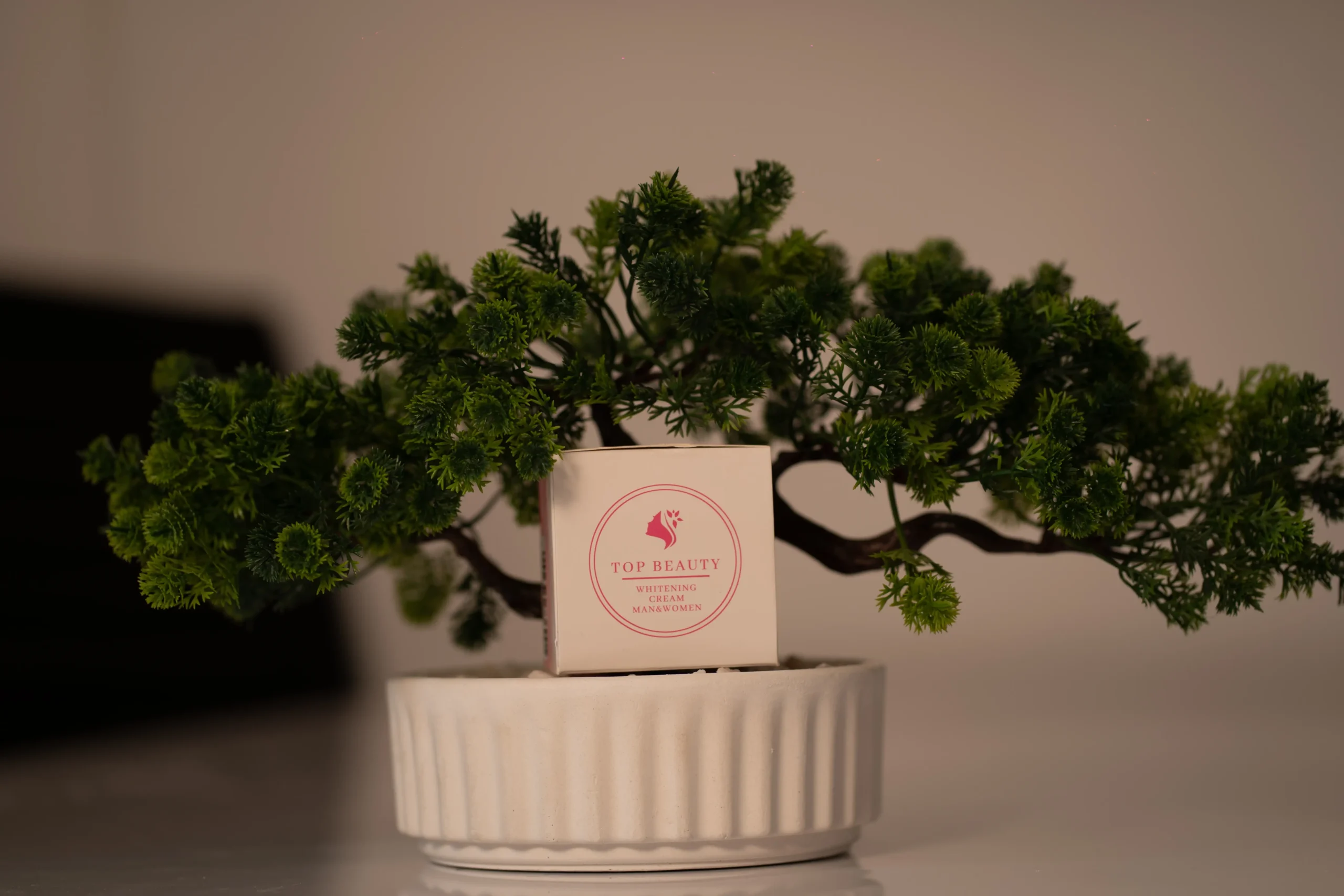 Top Beauty Whitening Cream - Image 5